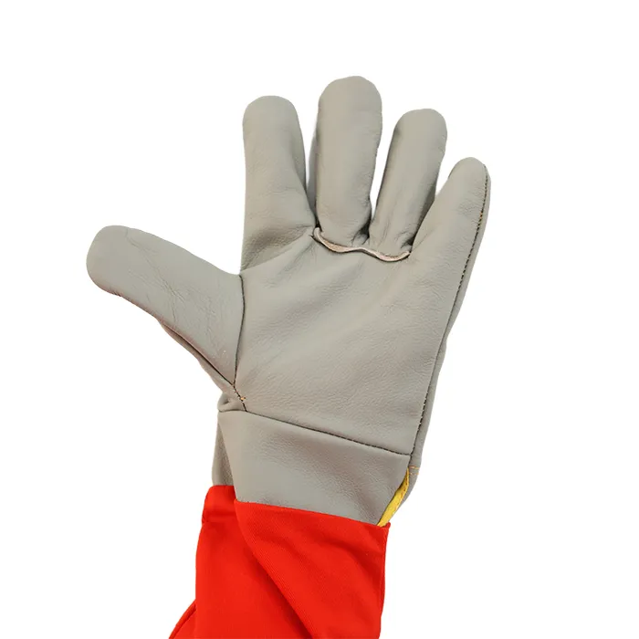 product-700-700 product-700-700