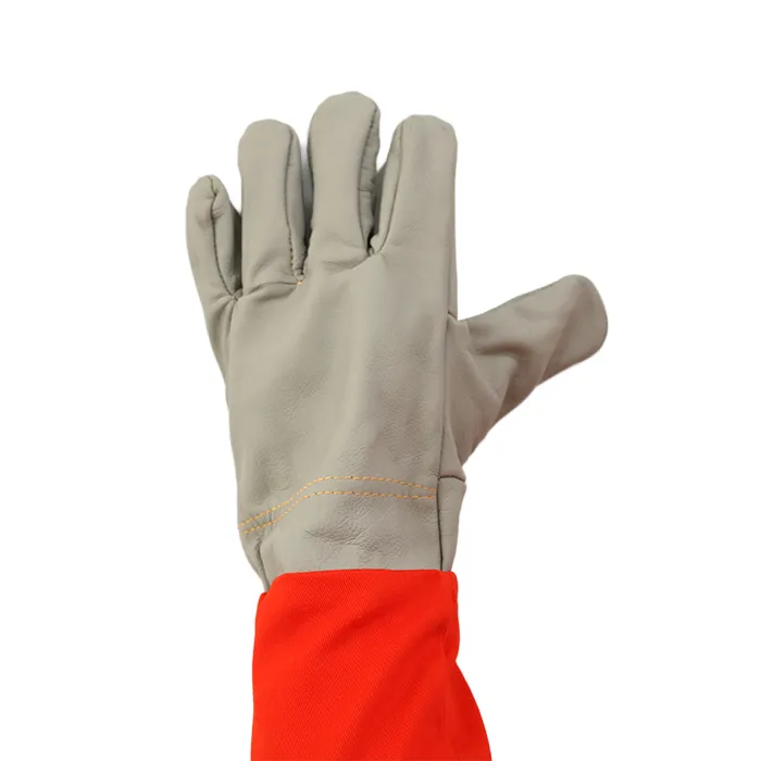 product-700-700 product-700-700