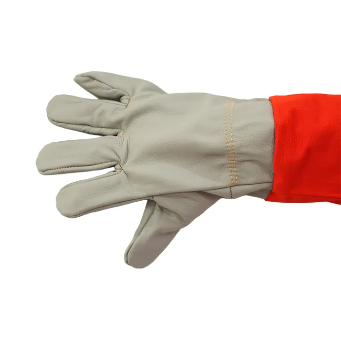 product-700-700 product-700-700