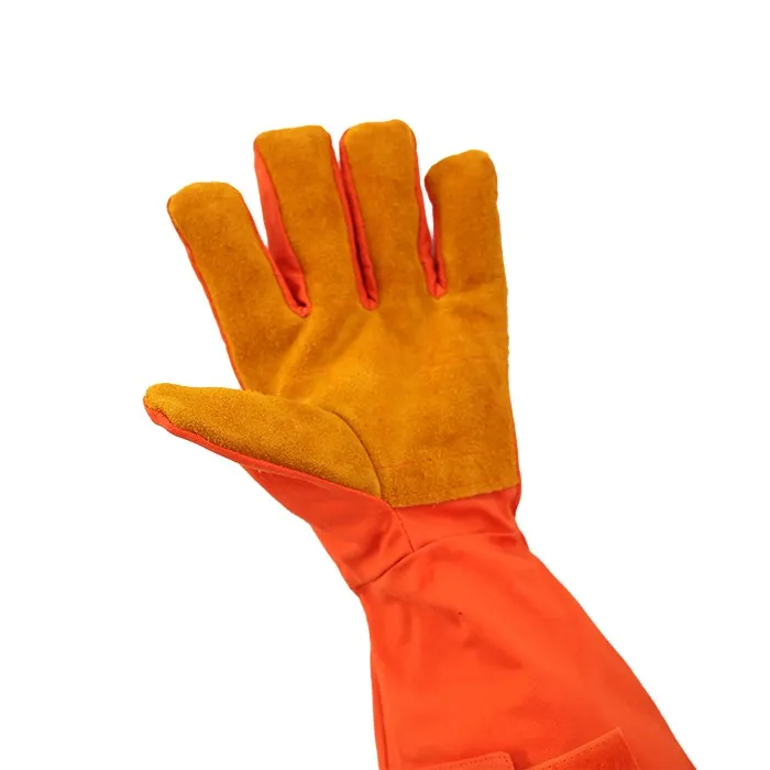 product-700-700 product-700-700
