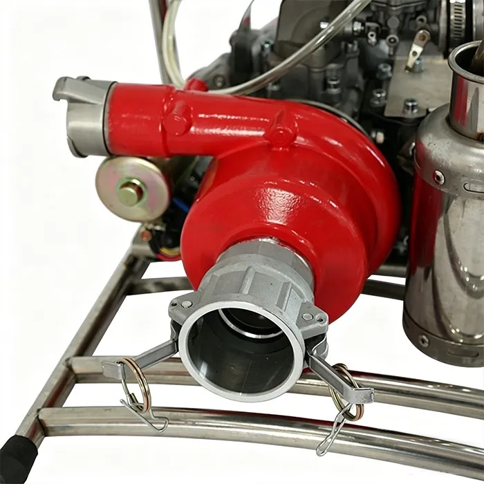 product-700-700 product-700-700